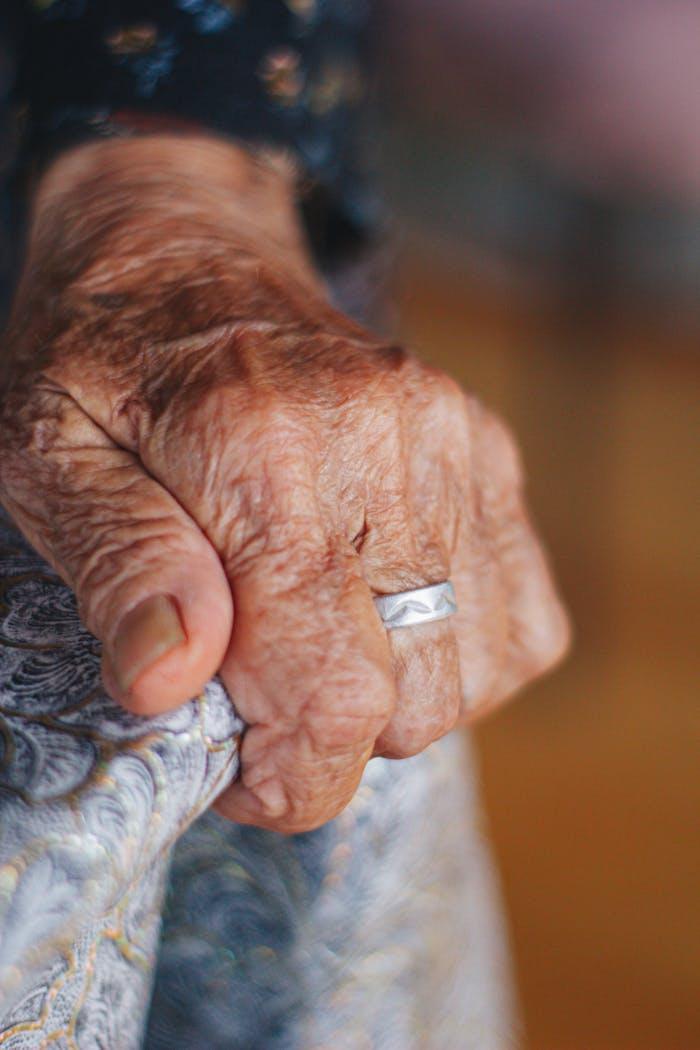 pexels photo 33338109.jpeg